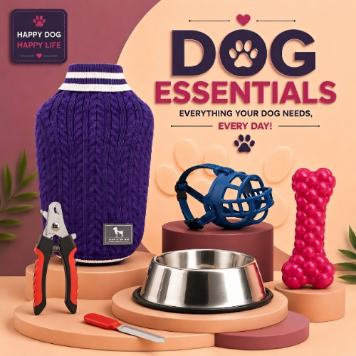 Dog Essentials