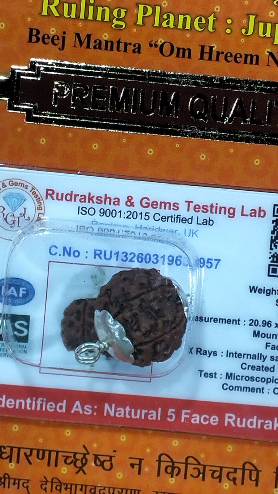 5 Mukhi Rudraksha Bead – Kalagni Rudra Blessing Sacred Natural Rudraksha
