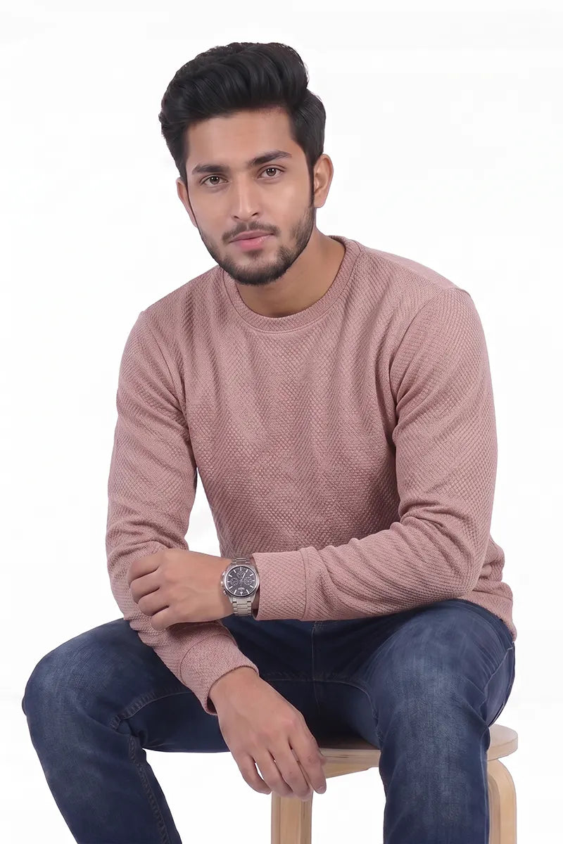 Cotton Regular Fit Sweatshirt for Men