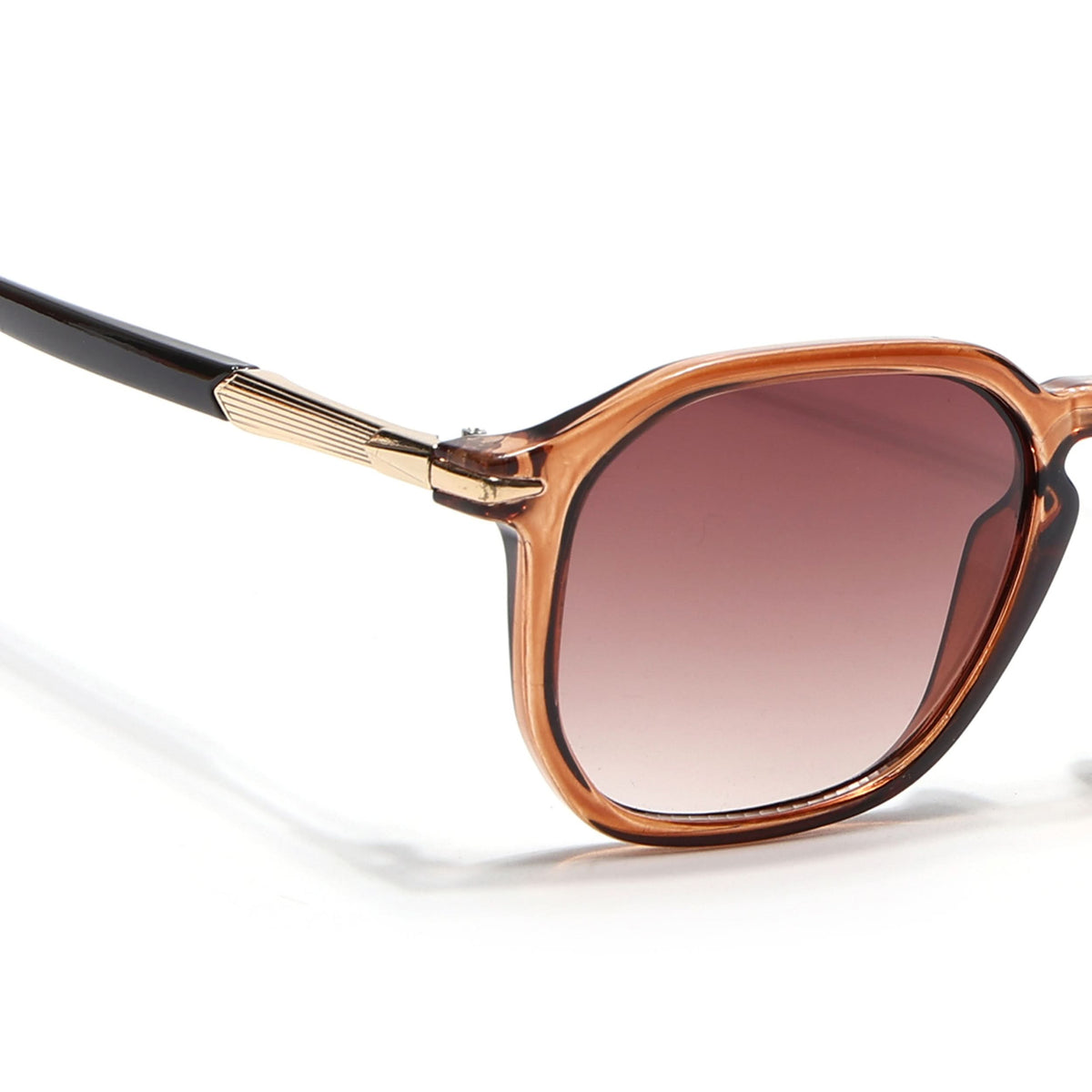 Eyejack Transparent Brown Square Sunglasses for Men and Women - view 5