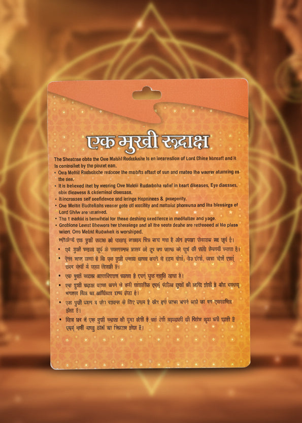 1 Mukhi Rudraksha Bead – Shiva Blessing Sacred Natural Rudraksha