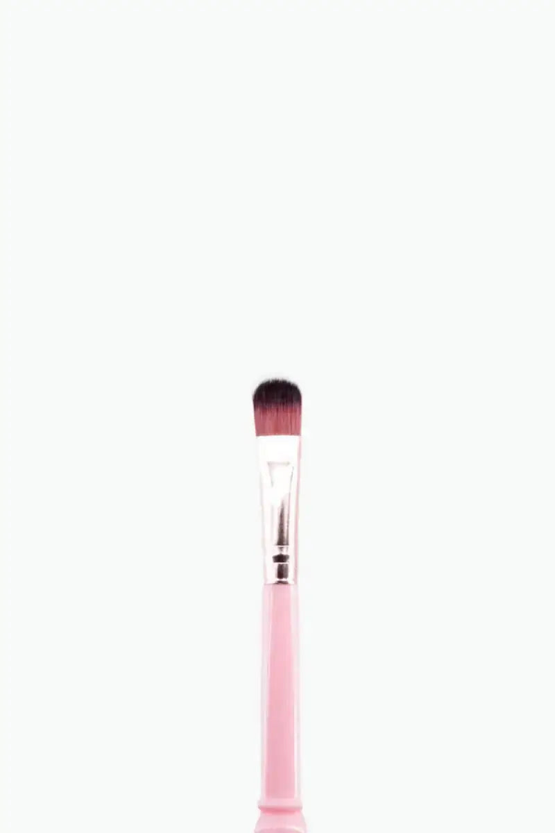 Makeup Brush Set (Pink) - Pack of 5