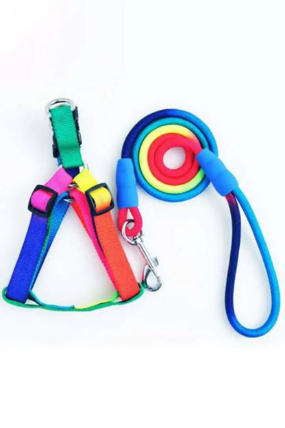 Canine Multicolor Rope Leash For Dog - Small
