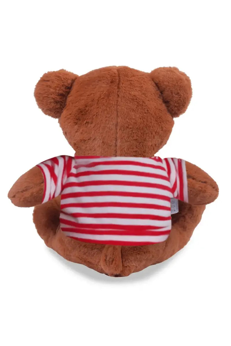 Eddy The Smart Teddy Soft Toys (Design May vary)