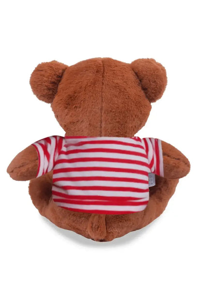 Eddy The Smart Teddy Soft Toys (Design May vary)