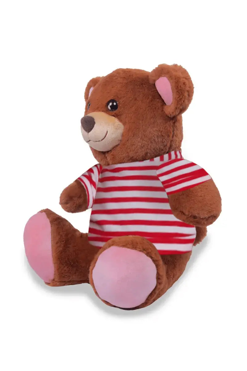 Eddy The Smart Teddy Soft Toys (Design May vary)