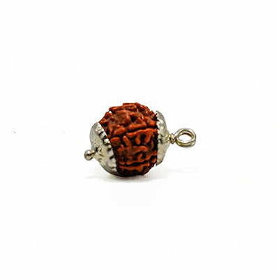 6 Mukhi Rudraksha Bead – Kartikeya Blessing Sacred Natural Rudraksha