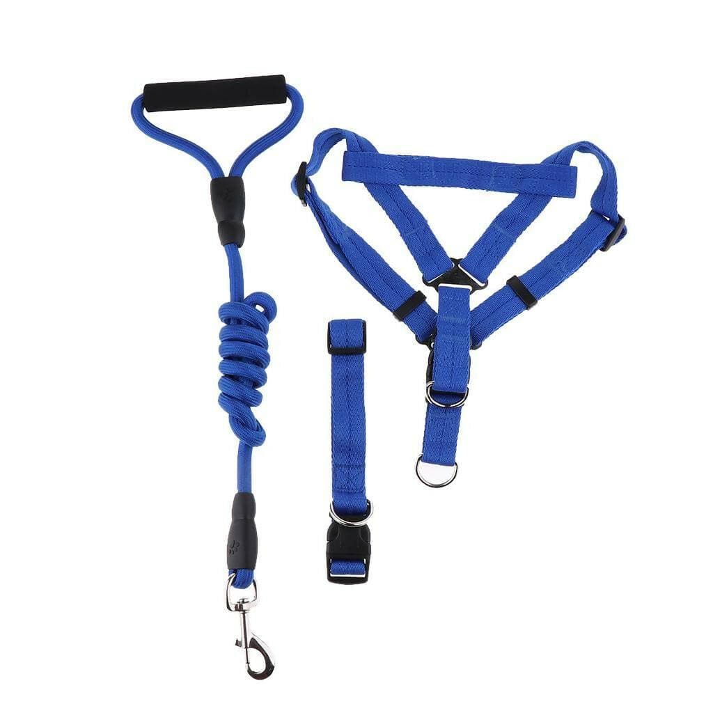 1 inch - Harness, Walking Rope and Collar belt Combo - HalfPe