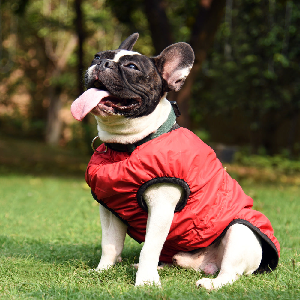 HUFT Inside Out Reversible Dog Jacket Olive Green/Red