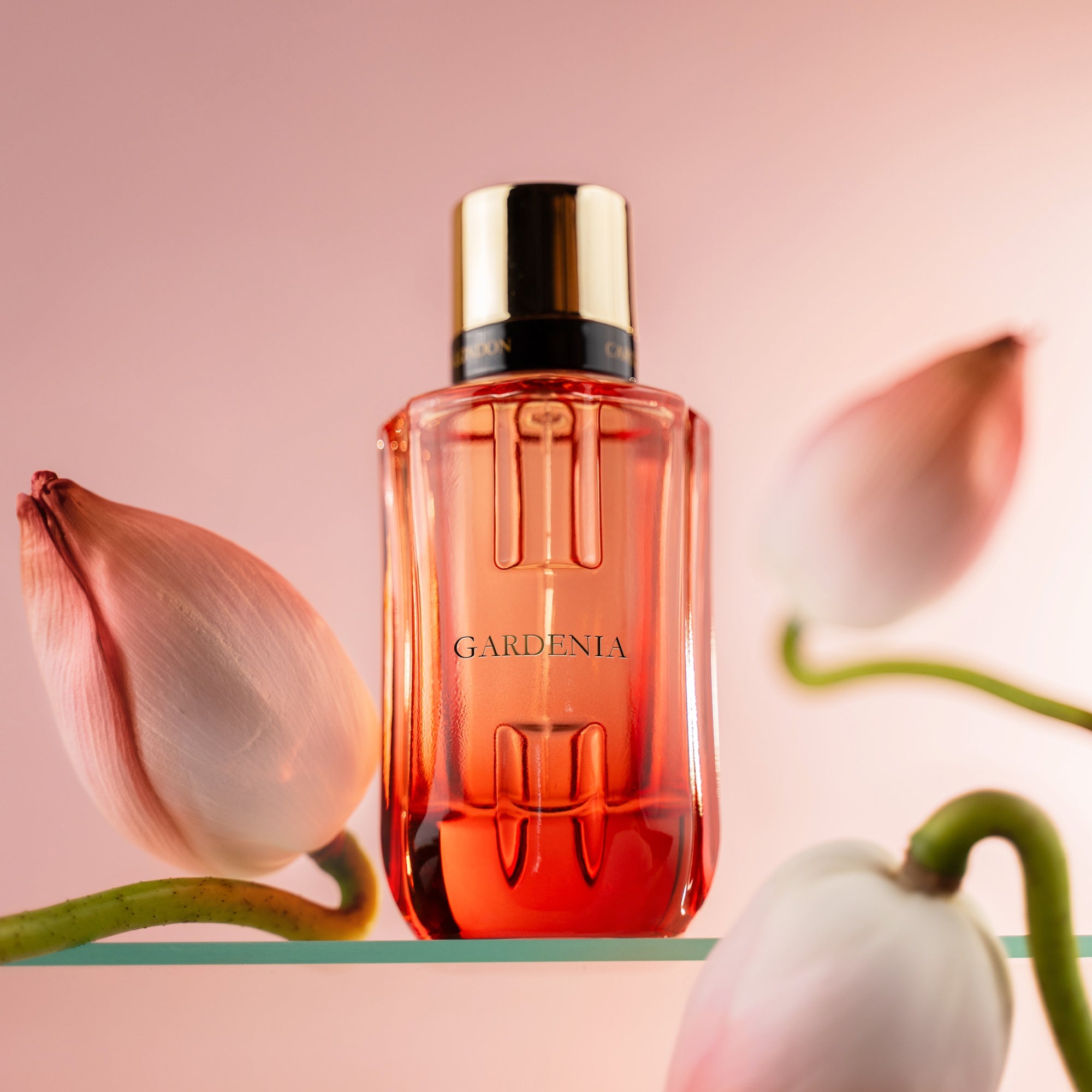 Gardenia : Carlton London Womens Perfume - CL-Gardenia