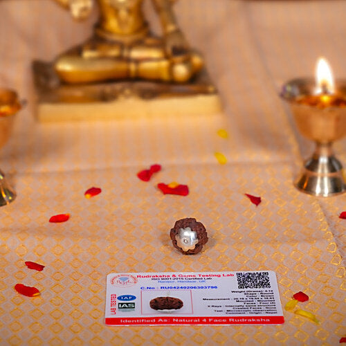 4 Mukhi Rudraksha Bead – Brahma Blessing Sacred Natural Rudraksha