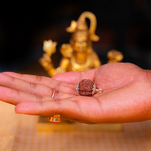 4 Mukhi Rudraksha Bead – Brahma Blessing Sacred Natural Rudraksha