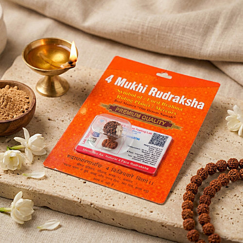 4 Mukhi Rudraksha Bead – Brahma Blessing Sacred Natural Rudraksha