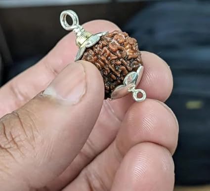 8 Mukhi Rudraksha Bead – Ganesha Blessing Sacred Natural Rudraksha