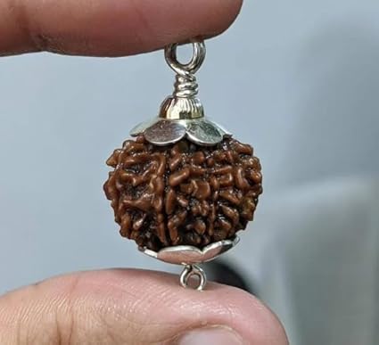 8 Mukhi Rudraksha Bead – Ganesha Blessing Sacred Natural Rudraksha