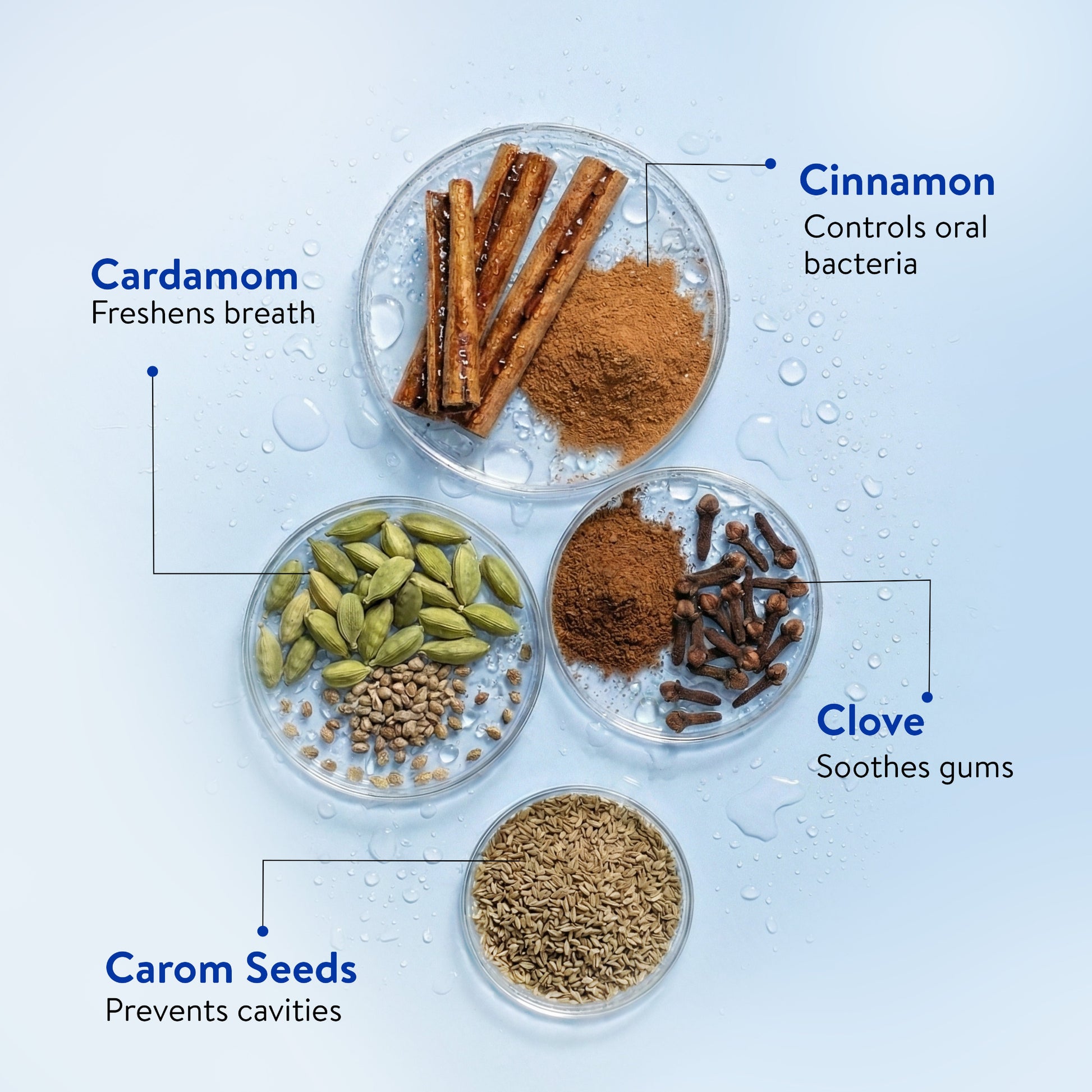 Ayurvedic Mint Gel toothpaste Pack of 4 (100 gm) Aimil Ayouthveda