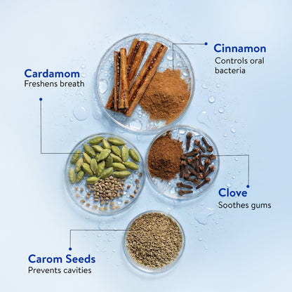 Ayurvedic Mint Gel toothpaste Pack of 4 (100 gm) Aimil Ayouthveda