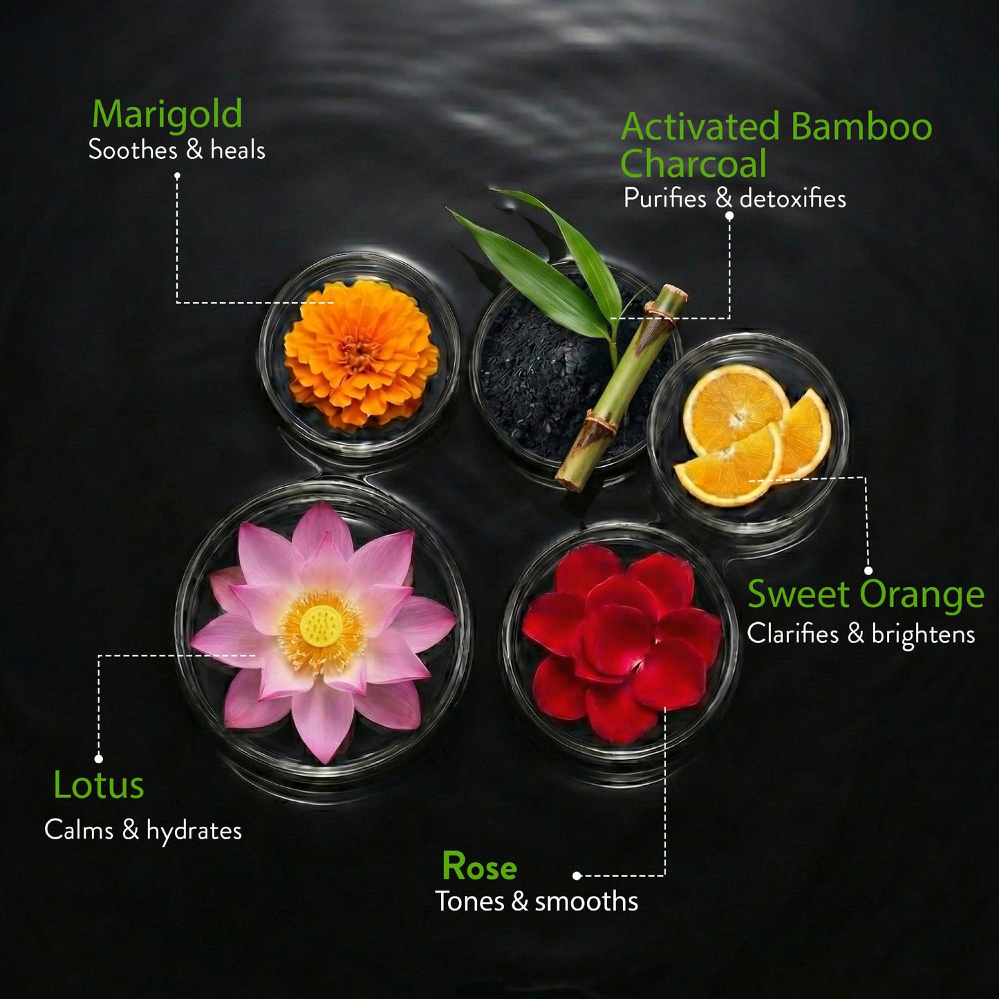 Ayouthveda Charchol Face Wash Pack of 2(100 ml) Aimil Ayouthveda