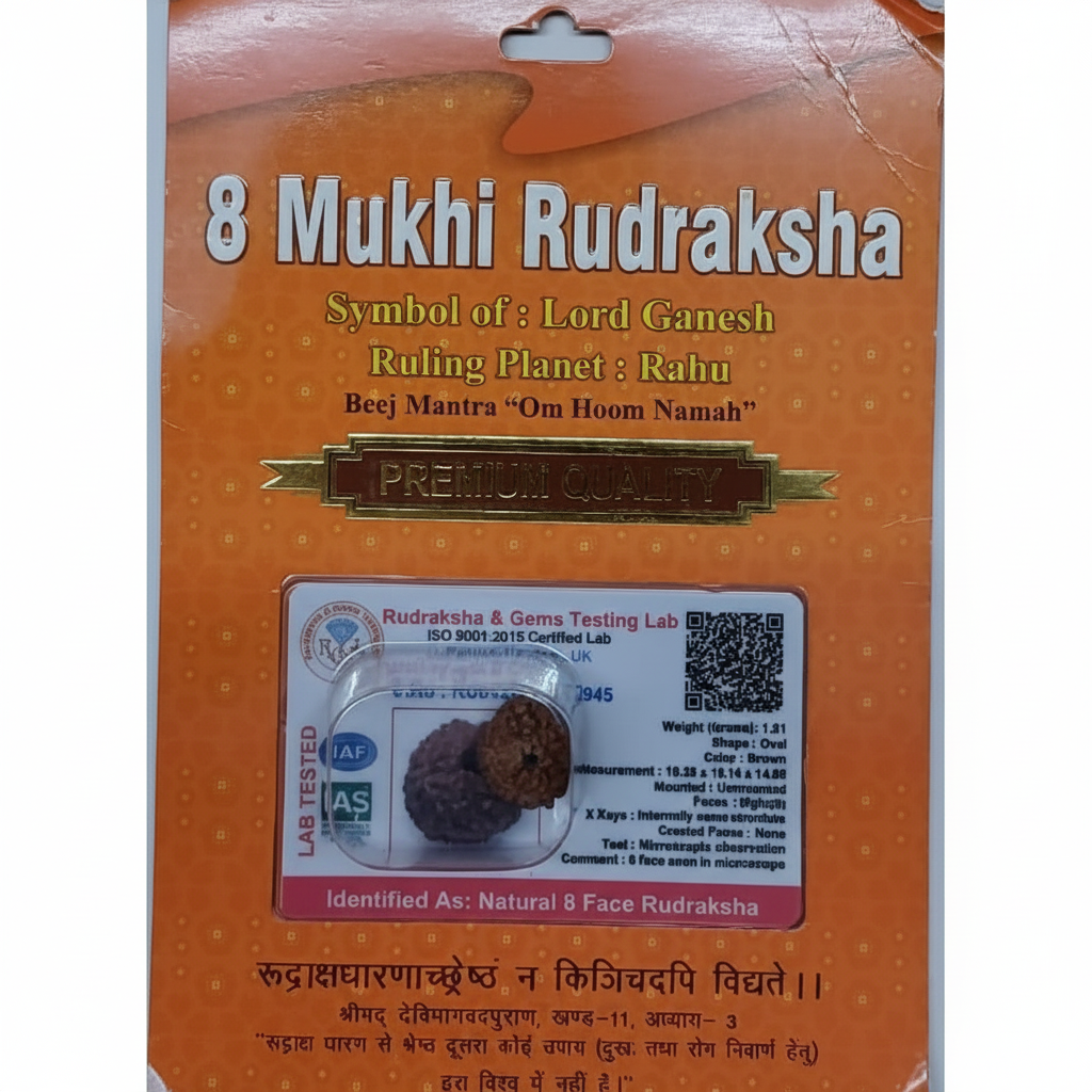 8 Mukhi Rudraksha Bead – Ganesha Blessing Sacred Natural Rudraksha
