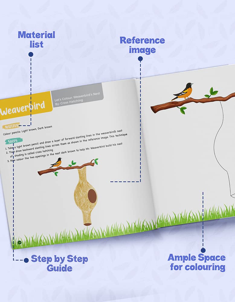 Bird Colouring Book for Kids | Drawing & Painting Activity Book - Image 4