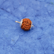 5 Mukhi Rudraksha Bead – Kalagni Rudra Blessing Sacred Natural Rudraksha