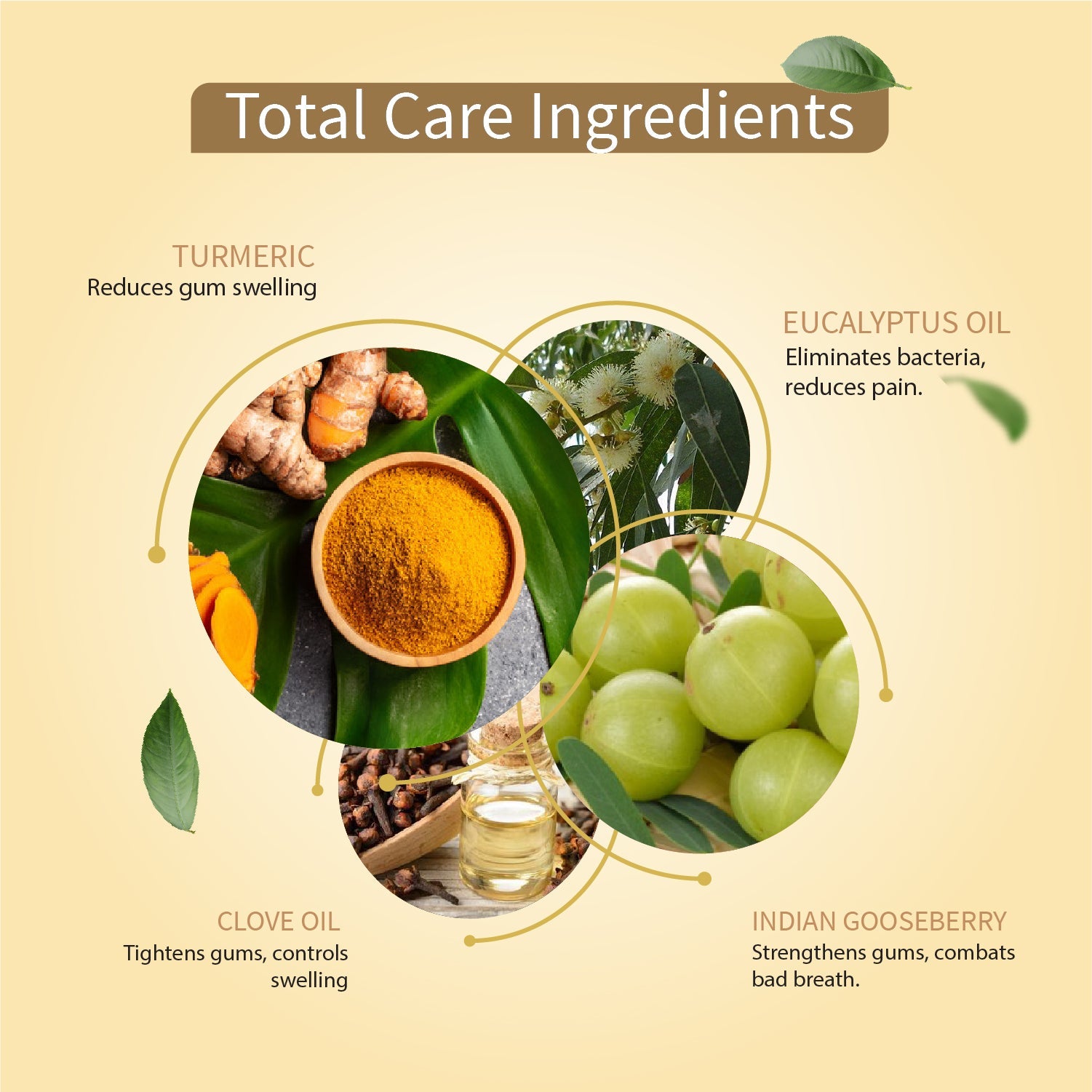 Ayurvedic TotalCare 360 toothpaste Pack of 3 (100 gm) Aimil Ayouthveda