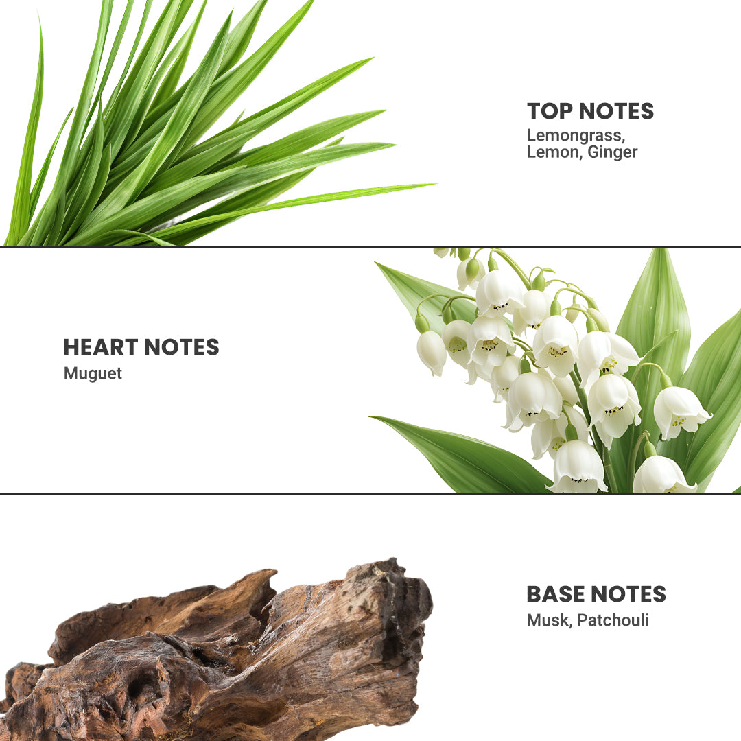 Areca Air Freshener Lemon Grass 220ml