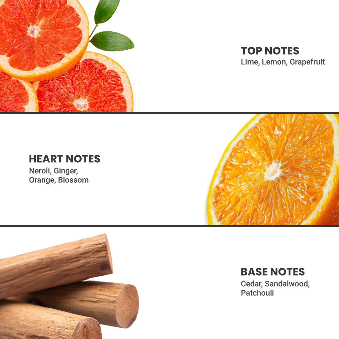 Areca Air Freshener Lemon 220ml