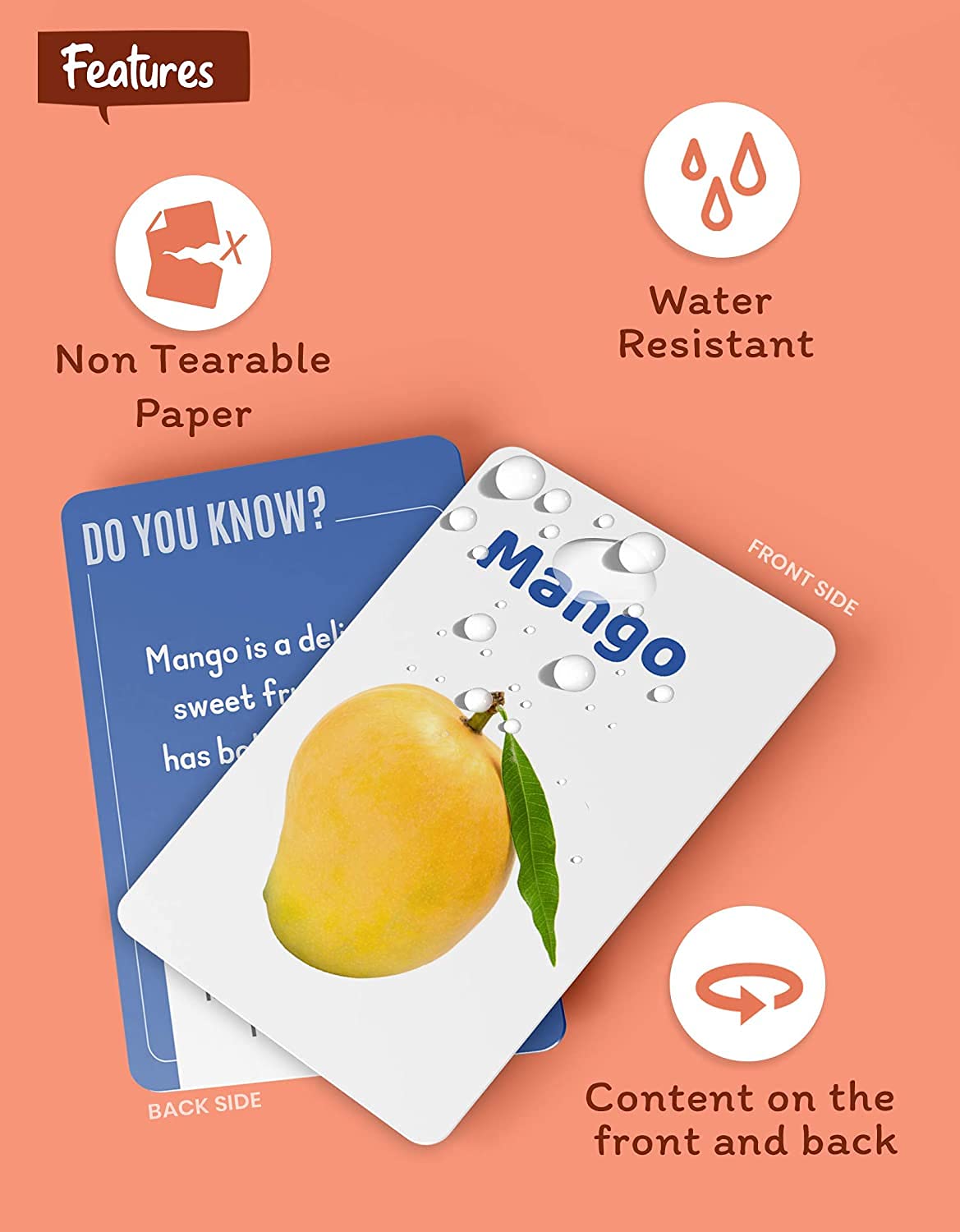 Flash Cards for Kids 2+ Years | Animals, Fruits, Birds & Vegetables - Image 5
