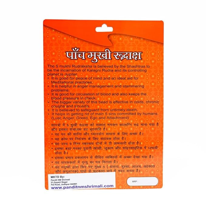 5 Mukhi Rudraksha Bead – Kalagni Rudra Blessing Sacred Natural Rudraksha