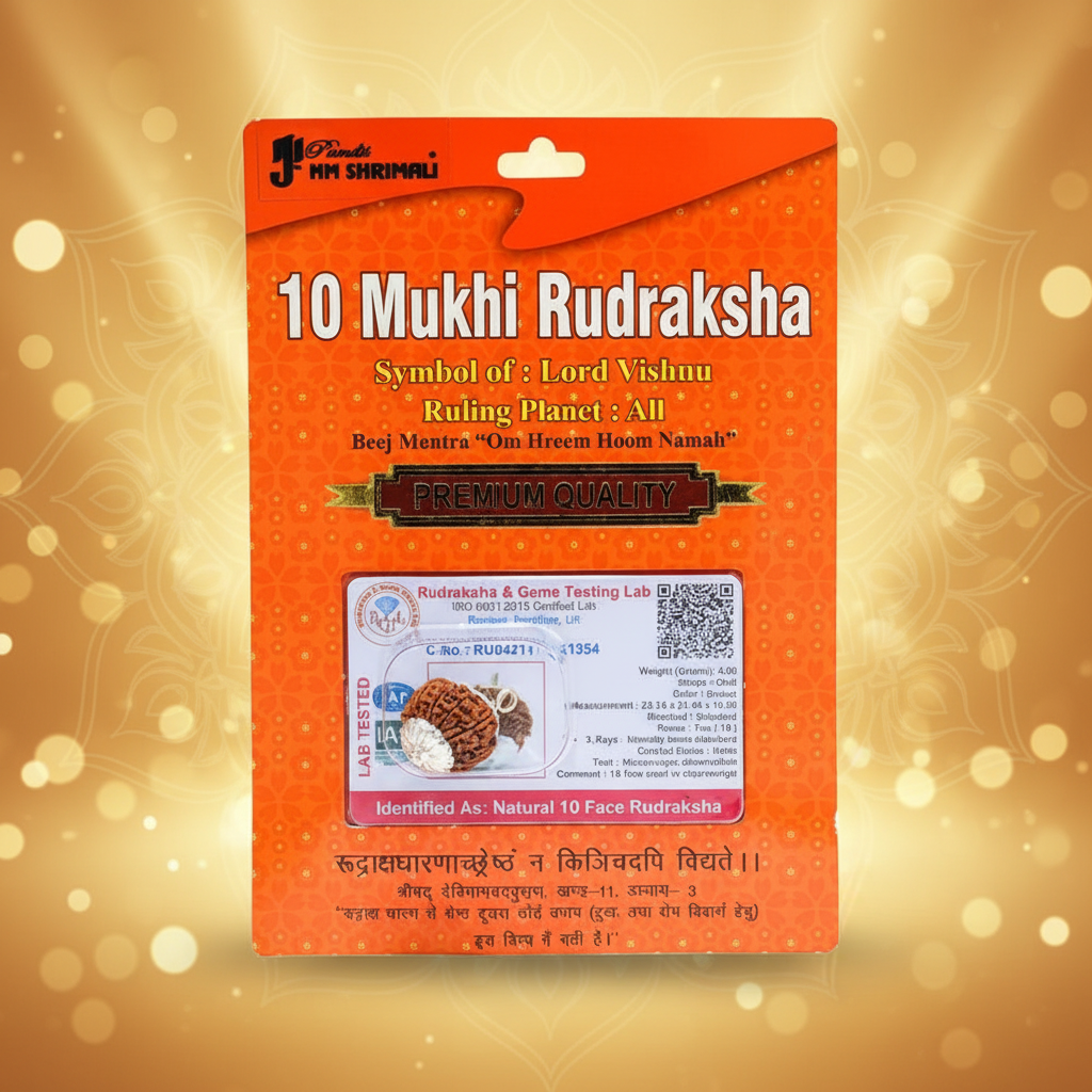 10 Mukhi Rudraksha Bead – Vishnu Blessing Sacred Natural Rudraksha