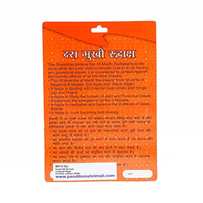 10 Mukhi Rudraksha Bead – Vishnu Blessing Sacred Natural Rudraksha