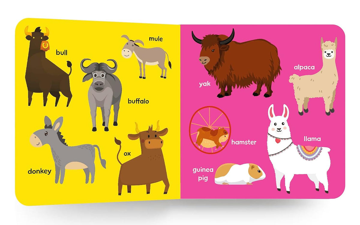 My First Big Book of Animals