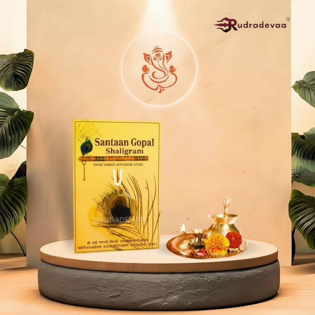 Santaan Gopal Shaligram – Sacred Vishnu Krishna Salagrama Shila for Child Blessings, Family Prosperity & Divine Grace