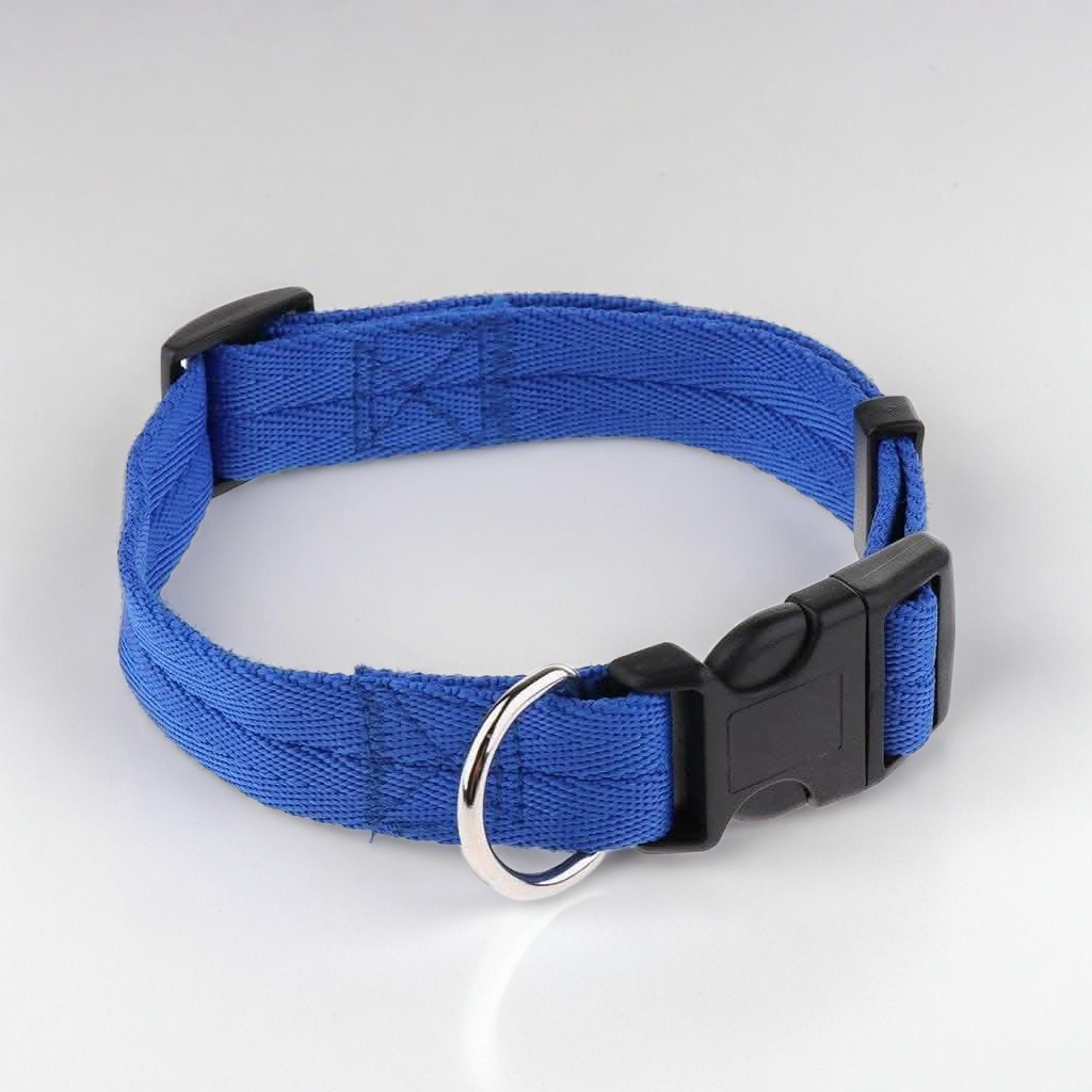1 inch - Harness, Walking Rope and Collar belt Combo