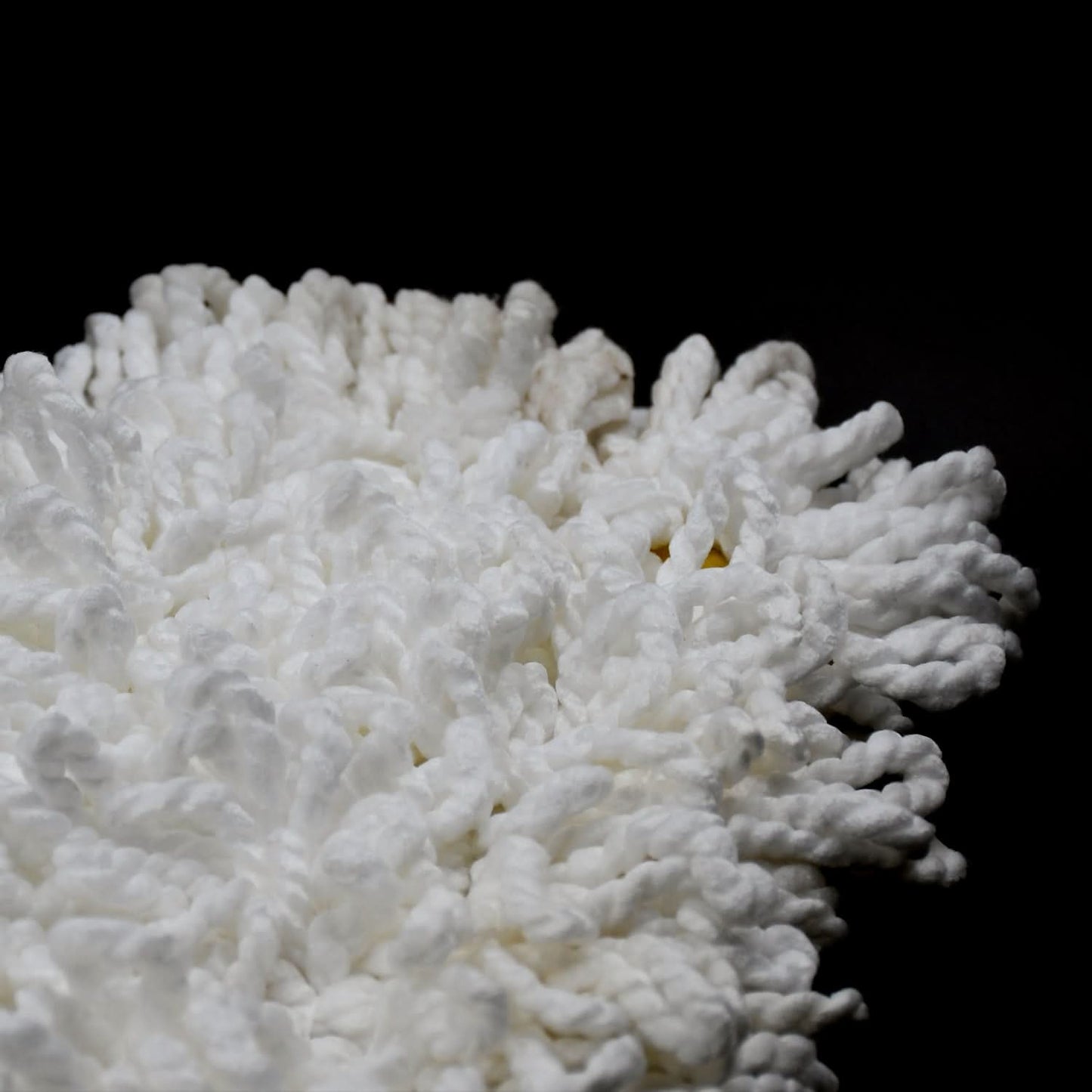 Dust Mop Refill Head – 50x20cm Reusable Replacement for All Floor Types