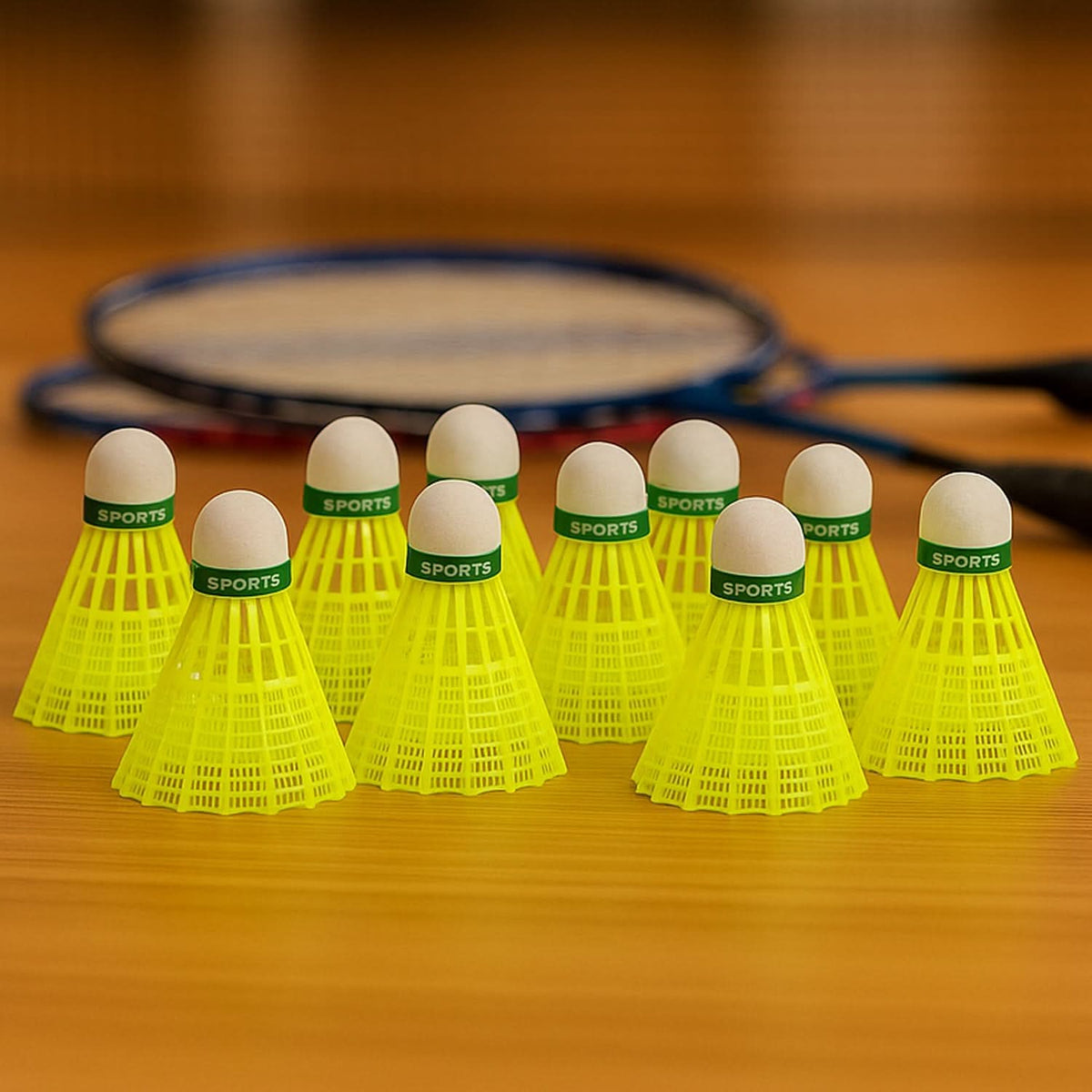 Premium Plastic Badminton Shuttlecock Set (10 Pcs) HP DD