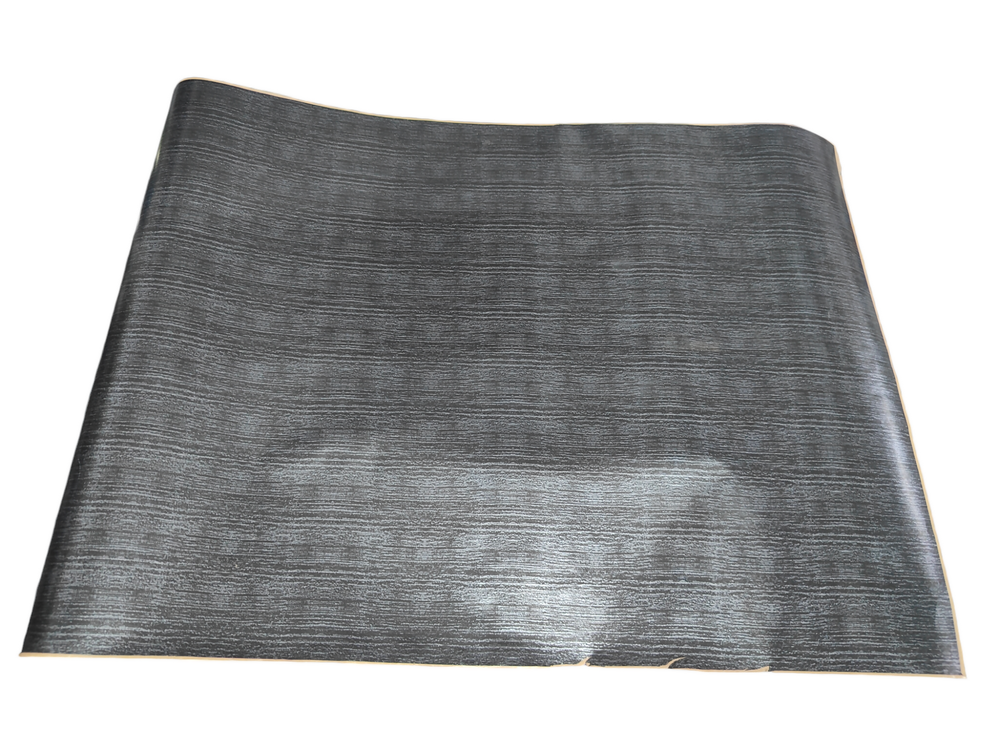 Photo-Room-20240717-200723