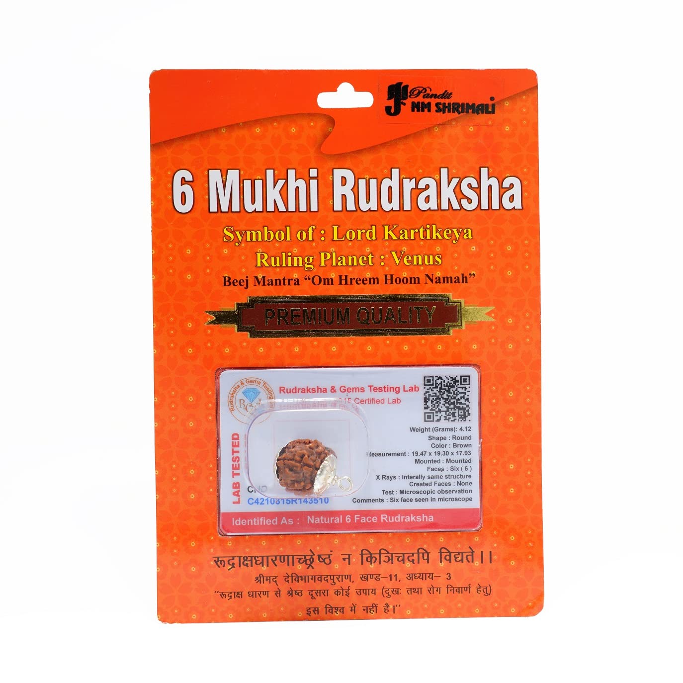 6 Mukhi Rudraksha Bead – Kartikeya Blessing Sacred Natural Rudraksha