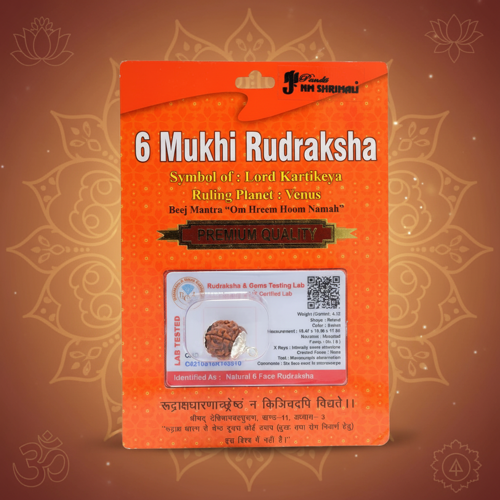 6 Mukhi Rudraksha Bead – Kartikeya Blessing Sacred Natural Rudraksha