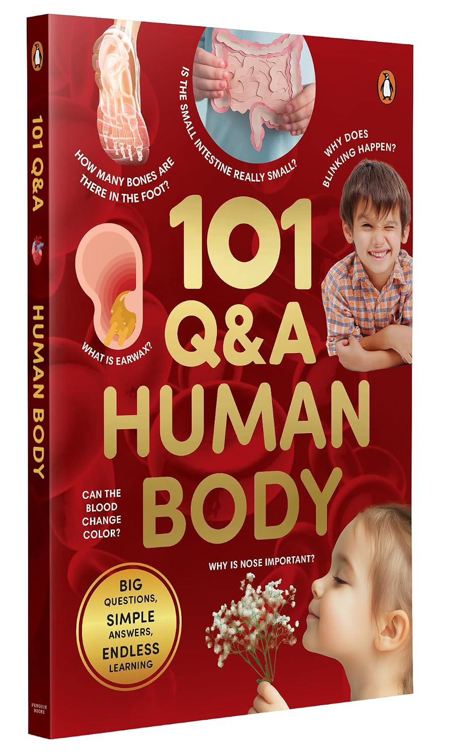 101 Q&A - Human Body