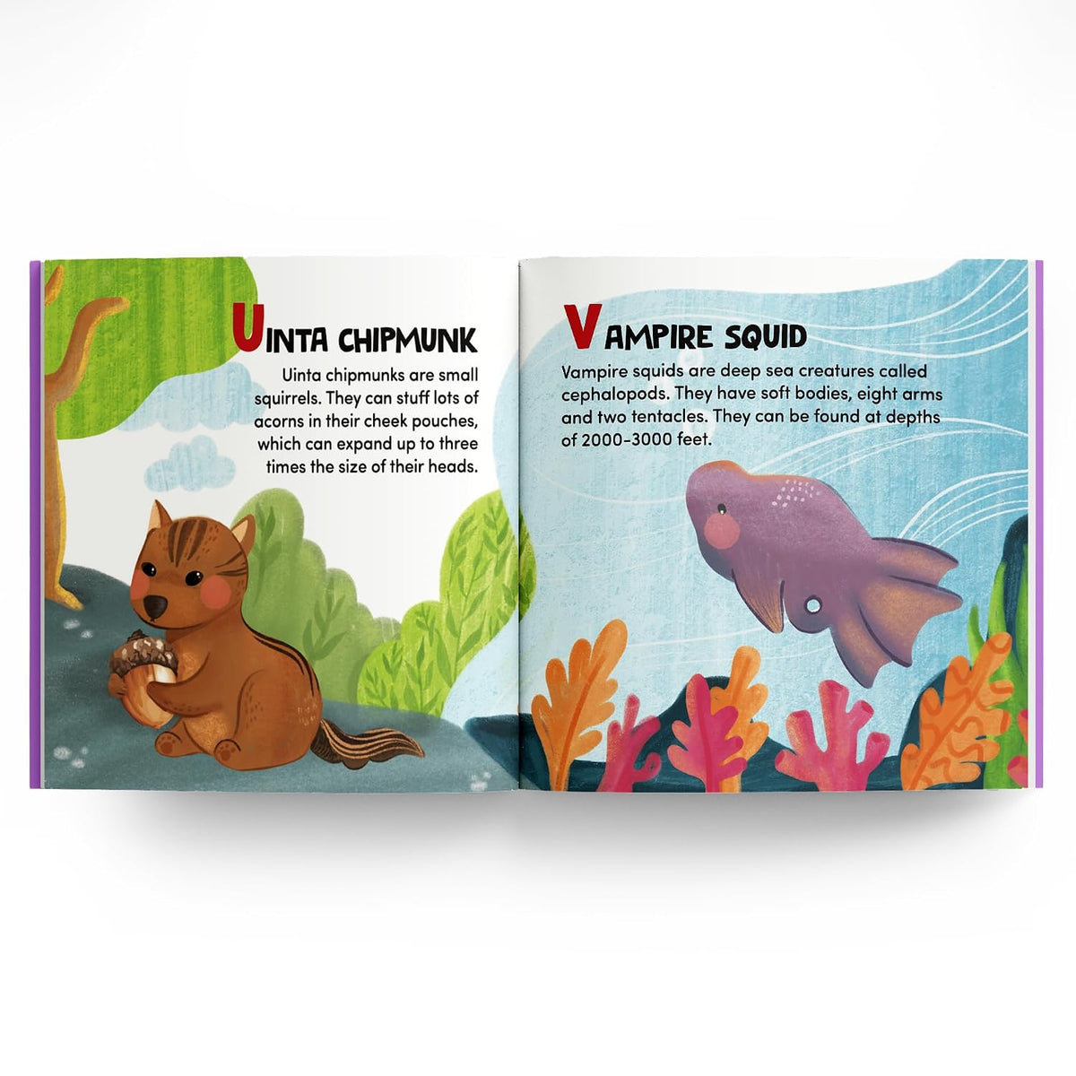 ABC SERIES: Animals