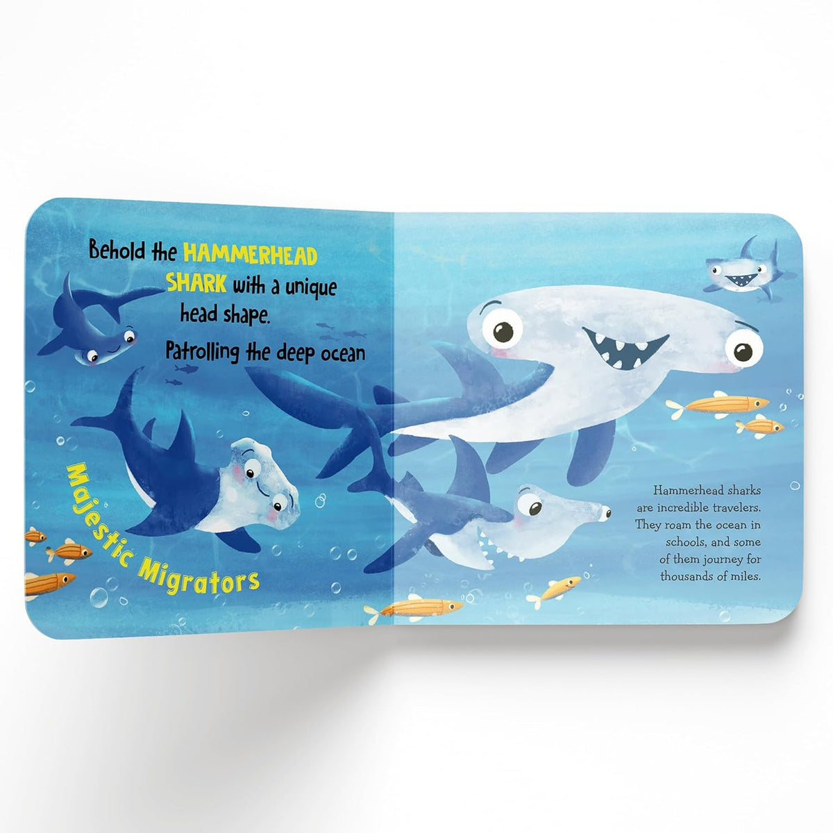 My First Discover Series: Ocean Life