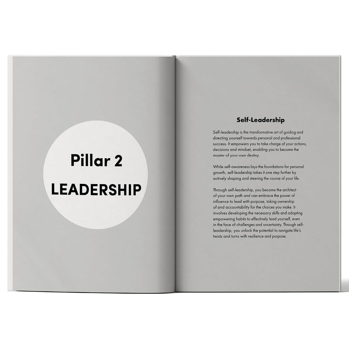 Elevate: Unlock Your Extraordinary Potential
