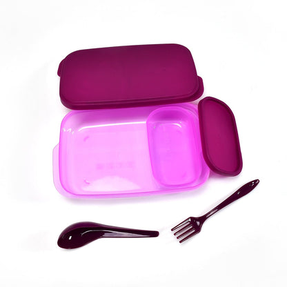Unbreakable BPA-Free Plastic Lunch Box with Spoon