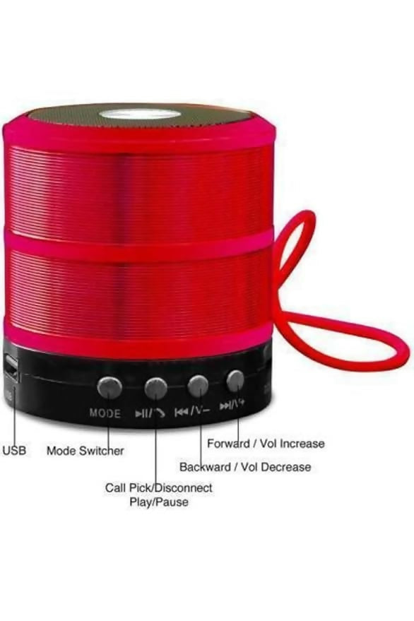 Compact Bluetooth Speaker WS-887 – Multi-Function with FM Radio, USB(Multicolour)
