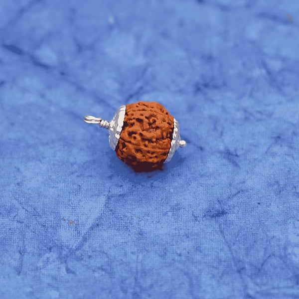 4 Mukhi Rudraksha Bead – Brahma Blessing Sacred Natural Rudraksha