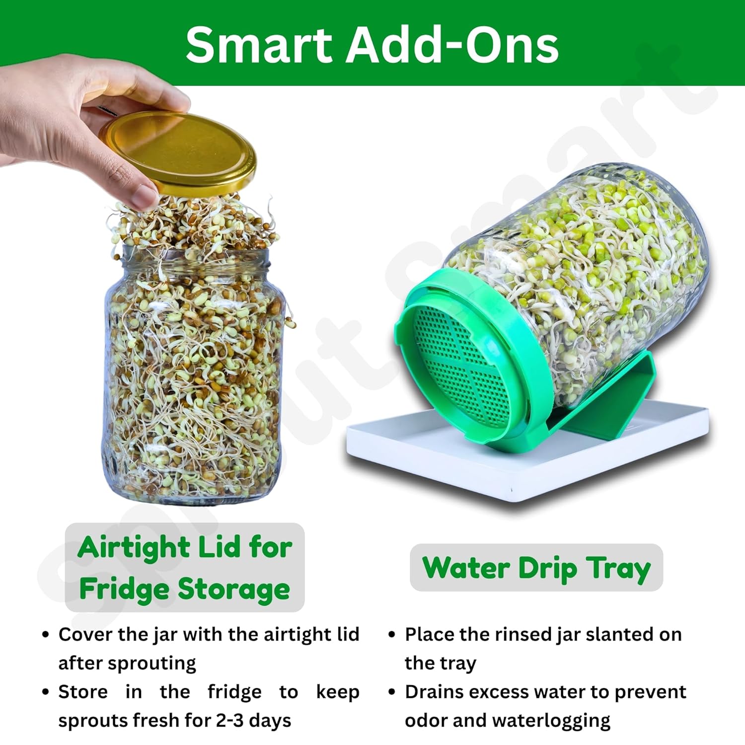 Sprout Smart Sprouts Maker Glass Jar with Airtight Mesh Lid – 720 ml