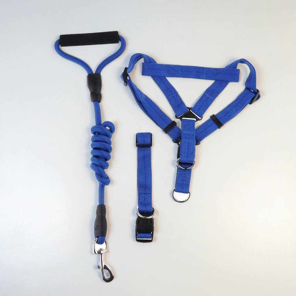 1 inch - Harness, Walking Rope and Collar belt Combo