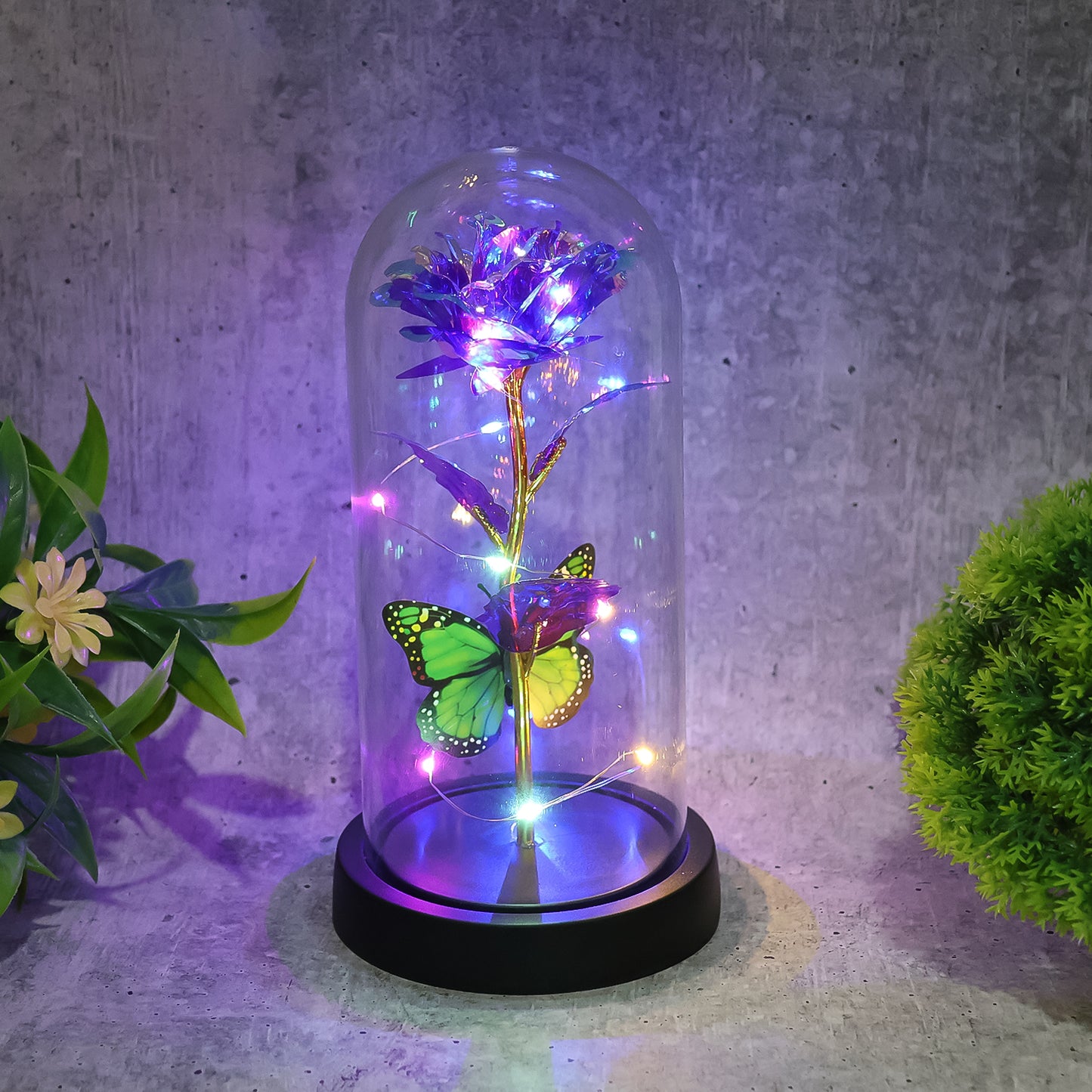 Led Preserved Rose With Colorful Butterfly In Plastic Dome (1 Pc  Mix Color)
